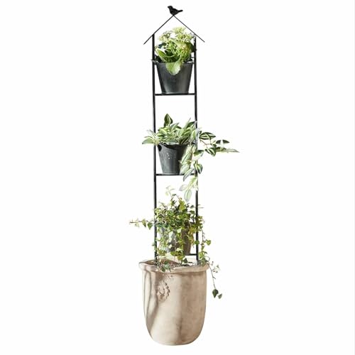 Loberon Pflanzenständer Châtonnaye, handgefertigt, UV-, Regen- & frostfest, 3 Feste Pflanztöpfe, niedliches Deko-Vögelchen, Gartenzubehör, Pflanzgefäß, Outdoor, Eisen, schwarz Loberon Pflanzenständer Châtonnaye, handgefertigt, UV-, Regen- & frostfest, 3 Feste Pflanztöpfe, niedliches Deko-Vögelchen, Gartenzubehör, Pflanzgefäß, Outdoor, Eisen, schwarz von Loberon