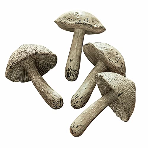 Loberon Pilz 4er Set Laval, sehr naturnah, Deko-Champignons, ideal für herbstliche Arrangements, Dekoration, Dekoobjekte, Polyresin, Creme von Loberon