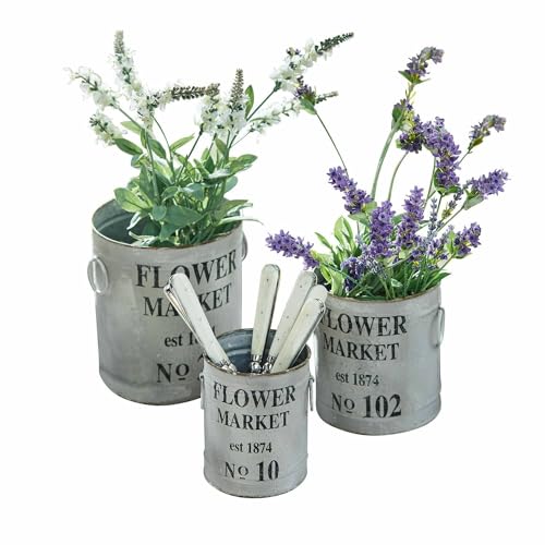 Loberon Übertopf 3er Set Flower Market, charmante Retro-Optik, mit Vintage-Schriftzug, für Küchenkräuter und Topfpflanzen, Blumentopf, Eisen, antikgrau Loberon Übertopf 3er Set Flower Market, charmante Retro-Optik, mit Vintage-Schriftzug, für Küchenkräuter und Topfpflanzen, Blumentopf, Eisen, antikgrau von Loberon