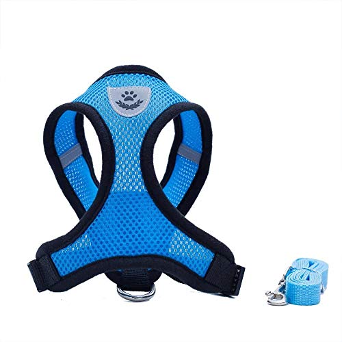 Locisne Mesh Gewebe Hundeweste Harness Weich Einstellbare Komfortable | Pet Lead-Brust Gehen Leine mit Clip von Locisne