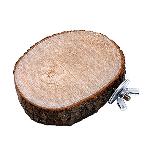 Papageien-Holz-Sitzstange, Plattform, Naturholz, rundes Brett für Sittiche, Kleintiere, Kauspielzeug, unpolierte Oberfläche, Papageienspielzeug, afrikanisches Grau, für kleine Papageien, große Vögel von Lodoot