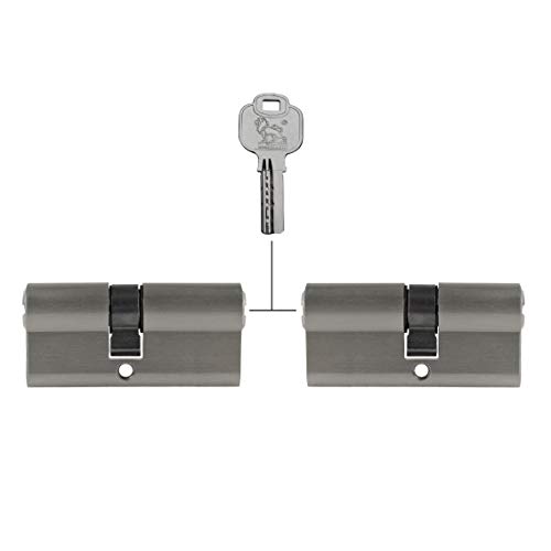 2x Profilzylinder 65 mm 30/35 gleichschließend inkl. 10 Schlüssel Metallic Silber Grau von Löwen Sicherheit