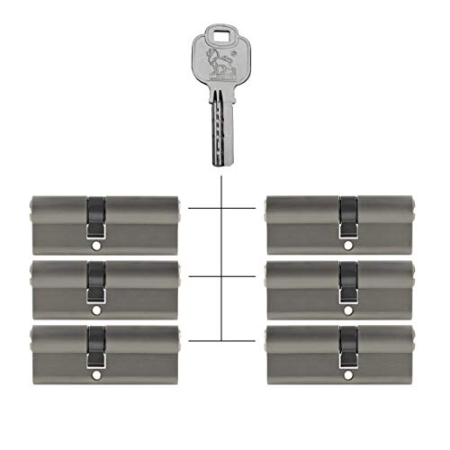 6x Profilzylinder 70 mm 30/40 gleichschließend inkl. 30 Schlüssel von Löwen Sicherheit