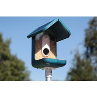 Stangenhalterung Für Bird Buddy Futtertrog Mit Stellschraube, Befestigungsschrauben Und Inbusschlüssel Emt Kabelrohr, Verzinktes Rohr, Pvc Oder von LoftCNC