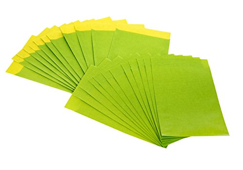 Logbuch-Verlag 10 grüne Papiertüten klein 13 x 18 cm Umschlag Weihnachten Verpackung Schmuck Tüte give-away Gastgeschenk Kunden Tüte Beutel flach Logbuch-Verlag 10 grüne Papiertüten klein 13 x 18 cm Umschlag Weihnachten Verpackung Schmuck Tüte give-away Gastgeschenk Kunden Tüte Beutel flach von Logbuch-Verlag