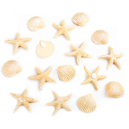 Logbuch-Verlag 16 mini Muscheln Seesterne Streuteile beige 3-4 cm zum Kleben Maritime Fischernetz Deko Tischdeko Meer Strand Logbuch-Verlag 16 mini Muscheln Seesterne Streuteile beige 3-4 cm zum Kleben Maritime Fischernetz Deko Tischdeko Meer Strand von Logbuch-Verlag