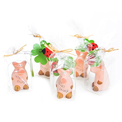 Logbuch-Verlag 5 Glücksbringer Schweinchen Viel Glück Glücksschwein kleines Geschenk Silvester Neujahr Geburtstag Genesung 5 cm Logbuch-Verlag 5 Glücksbringer Schweinchen Viel Glück Glücksschwein kleines Geschenk Silvester Neujahr Geburtstag Genesung 5 cm von Logbuch-Verlag