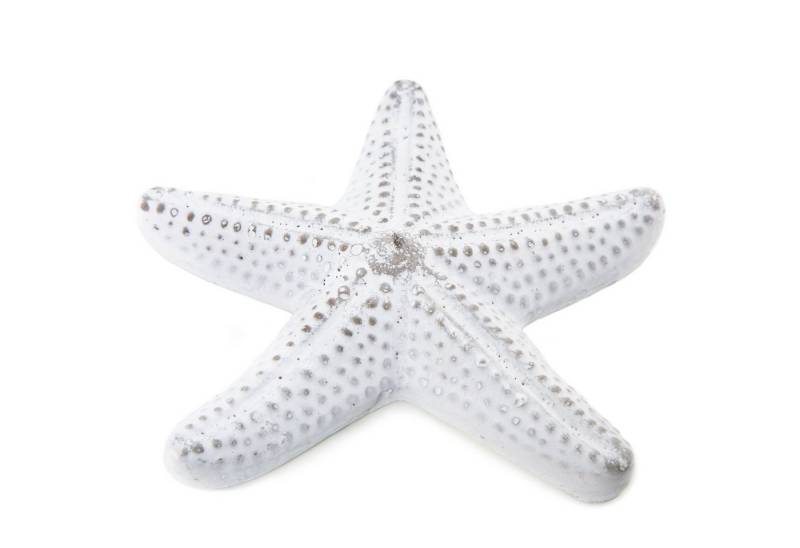 Logbuch-Verlag Dekofigur Seestern Dekoobjekt aus Beton grau weiß flach maritime Deko Figur Logbuch-Verlag Dekofigur Seestern Dekoobjekt aus Beton grau weiß flach maritime Deko Figur von Logbuch-Verlag