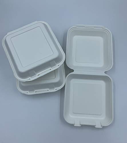 LogiPack GeRo Menübox ungeteilt Bio Einweg Bagasse Schalen Zuckerrohr Einweggeschirr biologisch abbaubar | Klappdeckel-Box Schale Kompostierbar | 218 x 207 x 64mm (250) von LogiPack GeRo