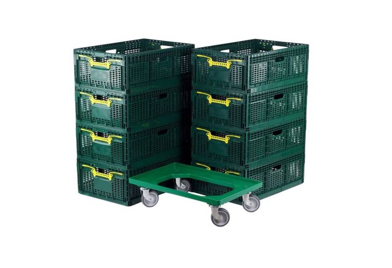 Logiplast Klappbox 8 x Klappboxen in grün + ein Transportroller in grün, 46 l, Lebensmittelunbedenklich (Klappbox), faltbar, übereinander stapelbar von Logiplast