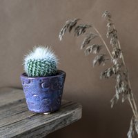 Kaktus Blumentopf/Sukkulenten Blumentopf, Kleiner Indoor-Übertopf, Samenkapsel-Design, Glasiertes Steingut von LolaSwainDesigns