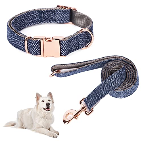 Lollanda Hundehalsband Bequeme Verstellbares, Langlebige Hundehalsbänder und Leine Set, Hundeleine Hundehalsband im Set Elegant, für Kleine und Mittelgroße Hunde Geeignet (L, Blau) von Lollanda