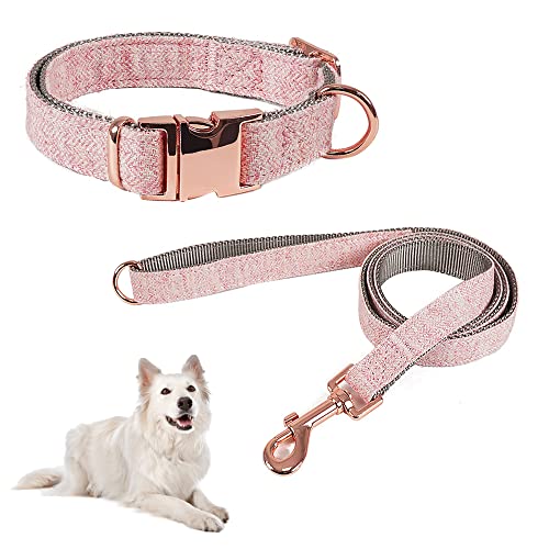 Lollanda Hundehalsband Bequeme Verstellbares, Langlebige Hundehalsbänder und Leine Set, Hundeleine Hundehalsband im Set Elegant, für Kleine und Mittelgroße Hunde Geeignet (L, Rosa) von Lollanda