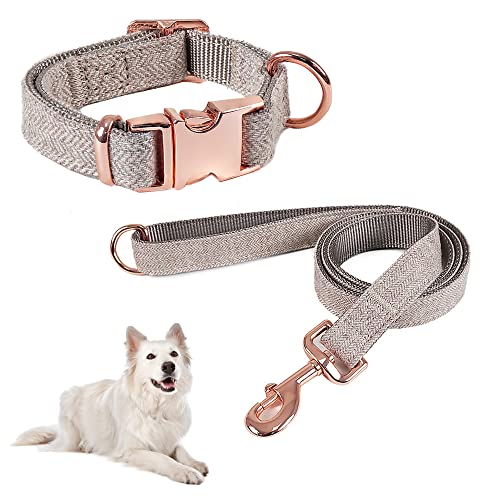 Lollanda Hundehalsband Bequeme Verstellbares, Langlebige Hundehalsbänder und Leine Set, Hundeleine Hundehalsband im Set Elegant, für Kleine und Mittelgroße Hunde Geeignet (L, Weiß) von Lollanda