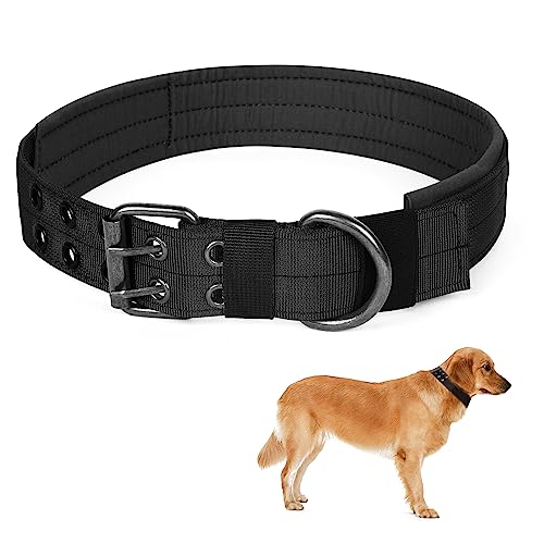 Lollanda Hundehalsband Breit Nylon, Halsband Hund mit Gepolstert, Training Hundehalsbänder Verstellbare für kleine Mittlere Große Hunde(L, Schwarz) von Lollanda