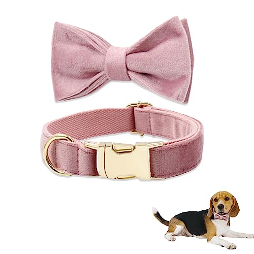 Lollanda Hundehalsband Schleife Hochzeit Abnehmbar Fliege und Halsband Set für Hunde Verstellbar Hunde Fliege Hochzeit Schleifenhalsband (S, Champagner Pink) von Lollanda