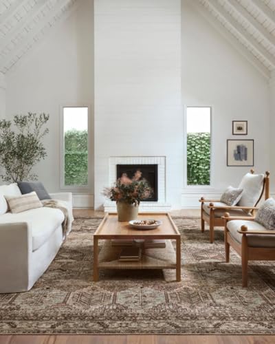 Loloi Amber Lewis Billie Collection, Clay & Sage Teppich, 60 x 200 - 150 cm, antiker und abgenutzter Akzent Teppiche für Wohnzimmer, Schlafzimmer, Eingangsbereich und Flur, kein Schuppen, stark von Loloi