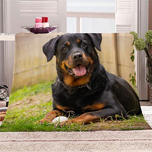 Decke 150x200 cm Rottweiler Kuscheldecke Flauschig 3D Digitaldruck Weiche Warme Mikrofaser Flanelldecke Tierischer Hund Motiv Wohndecke Sofadecke Couchdecke Blanket für Erwachsene von Lolosale