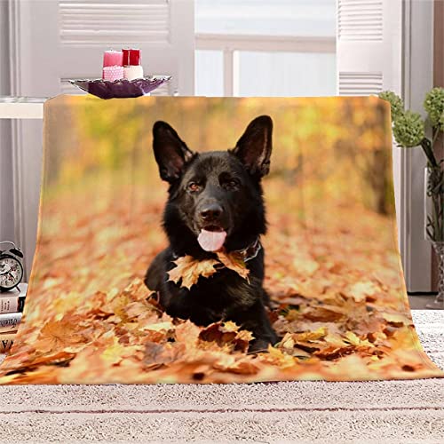 Decke 150x200 cm Schwarzer Hund Kuscheldecke Flauschig 3D Digitaldruck Weiche Warme Mikrofaser Flanelldecke Süße Tiere Motiv Wohndecke Sofadecke Couchdecke Blanket für Erwachsene von Lolosale