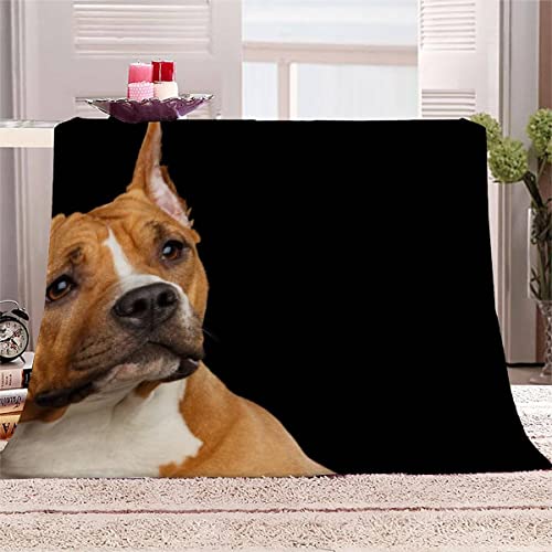 Decke 150x200 cm Staffordshire-Terrier Kuscheldecke Flauschig 3D Digitaldruck Weiche Warme Mikrofaser Flanelldecke Tierischer Hund Motiv Wohndecke Sofadecke Couchdecke Blanket für Erwachsene von Lolosale