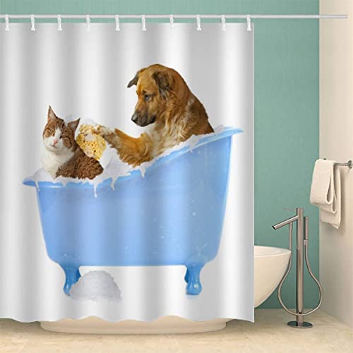 Duschvorhang 180x200 Katze Hund Anti-Schimmel Schwer Stoff Polyester Wasserdicht Duschvorhänge Kreatives Tier Shower Curtain mit 12 Duschvorhangringen für Badezimmer Waschbar Badvorhang von Lolosale