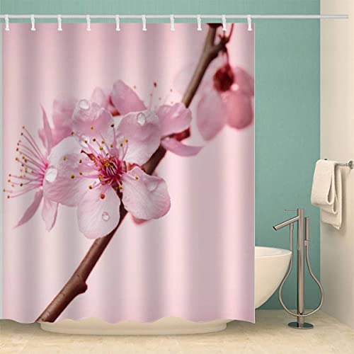 Duschvorhang 180x200 Kirschblüten Anti-Schimmel Schwer Stoff Polyester Wasserdicht Duschvorhänge Blumen Shower Curtain mit 12 Duschvorhangringen für Badezimmer Waschbar Badvorhang von Lolosale