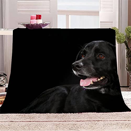Kuscheldecke Kinder 70x100 cm Labrador Decke Flauschig 3D Haustier Hund Wohndecke Sommer Weiche Mikrofaser Flanell Decke für Junge Mädchen Fleecedecke Sofadecke Couchdecke Tagesdecke von Lolosale