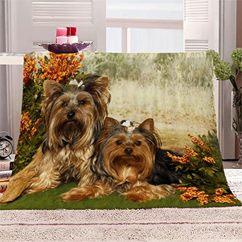 Lolosale Decke 150x200 cm Yorkshire-Terrier Kuscheldecke Flauschig 3D Digitaldruck Weiche Warme Mikrofaser Flanelldecke Haustier Hund Motiv Wohndecke Sofadecke Couchdecke Blanket für Erwachsene von Lolosale