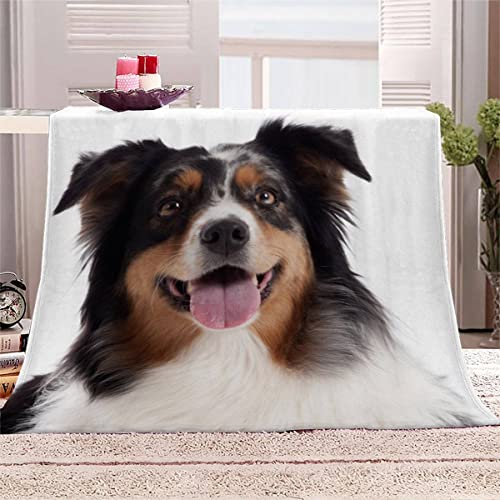 Weiche Mikrofaser Decke mit Border Collie Muster Kuscheldecke Flauschige Flanelldecke 130x150 cm 3D Süße Tiere Sofadecke Klimadecke Reisedecke Wohndecke Outdoor Decke für Teenager von Lolosale