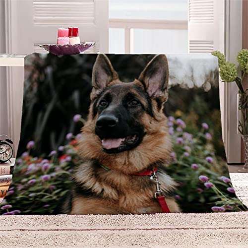 Weiche Mikrofaser Decke mit Deutscher Schäferhund Muster Kuscheldecke Flauschige Flanelldecke 130x150 cm 3D Süße Tiere Sofadecke Klimadecke Reisedecke Wohndecke Outdoor Decke für Teenager von Lolosale