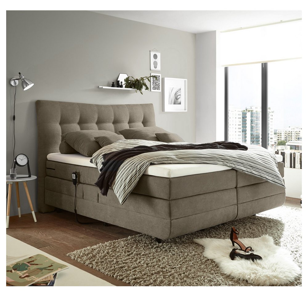 Lomadox Boxspringbett MALIBU-09, rabbit in 180x200cm mit 7-Zonen-Tonnentaschenfederkern-Matratze Lomadox Boxspringbett MALIBU-09, rabbit in 180x200cm mit 7-Zonen-Tonnentaschenfederkern-Matratze von Lomadox