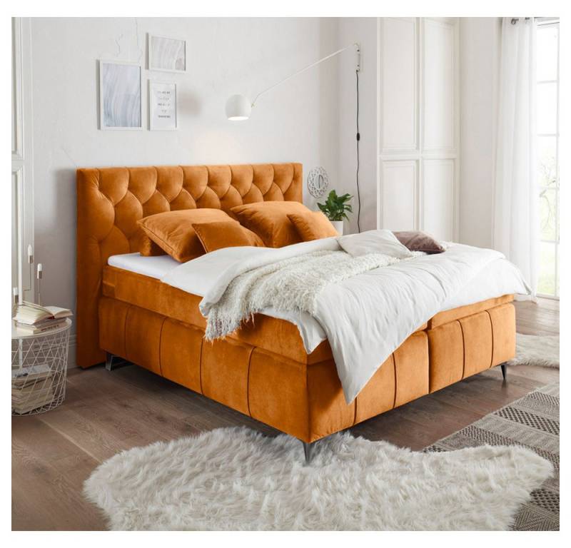 Lomadox Boxspringbett PETARE-09, Bett 180x200 cm orange Härtegrad H2 inkl. Topper von Lomadox