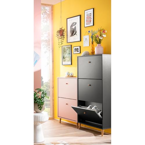 Lomadox Flurmöbel Set 2-teilig in apricot und anthrazit, 2 Schuhkipper Schuhschränke modern schmaler Flur Massivholzgriffe Knopfgriff skandinavisches Design von Lomadox