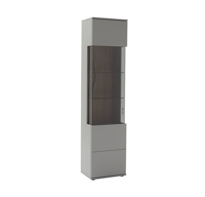Lomadox Vitrine SAVANNAH-05, 207cm hoch, in grau lackiert mit Eiche, B/H/T ca. 50/207/38 cm von Lomadox