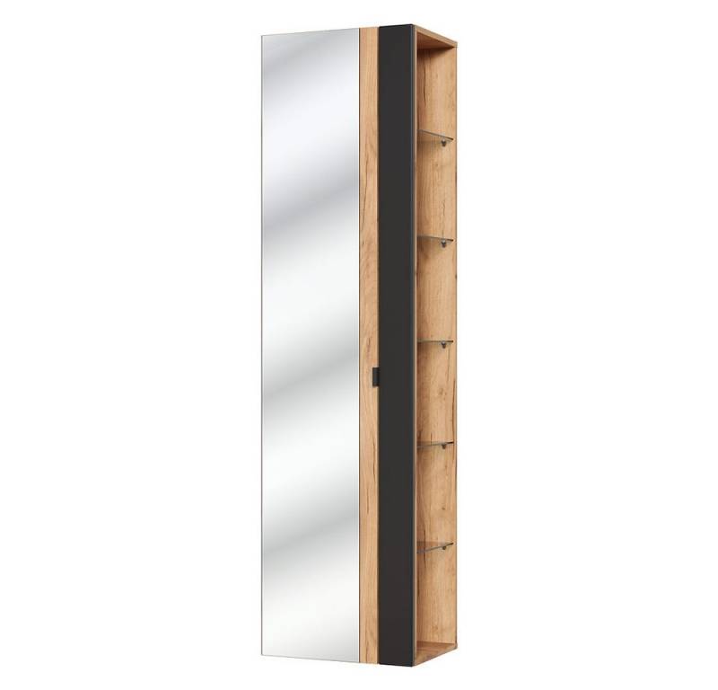 Lomadox Hochschrank TOSKANA-BLACK-56 Badezimmer mit Spiegel in seidenmatt anthrazit B/H/T ca. 45/170/33cm von Lomadox