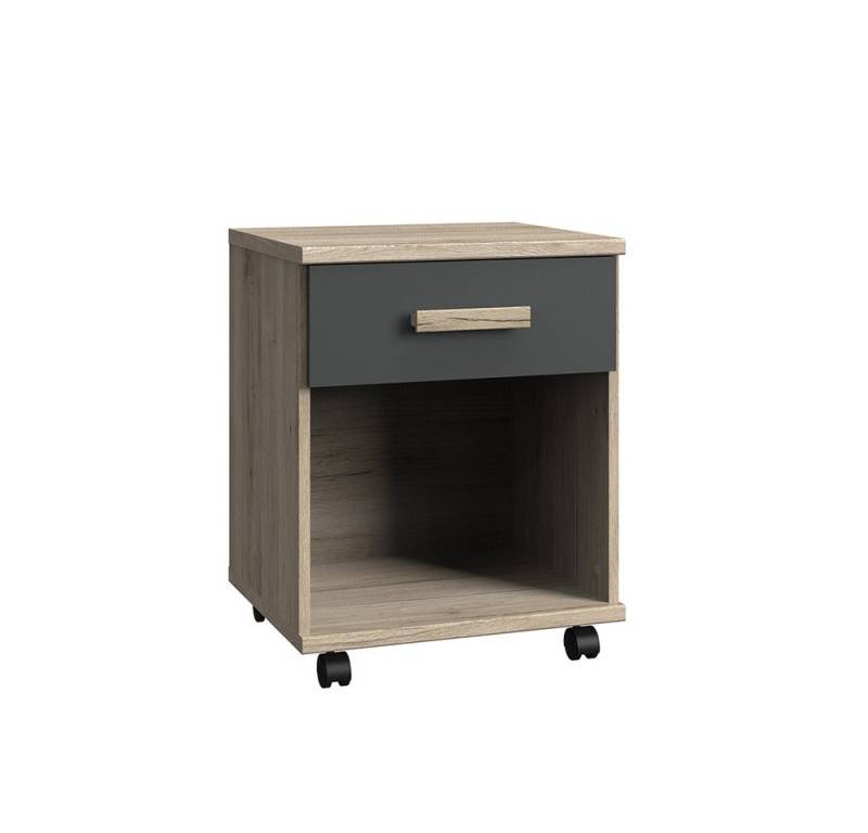 Lomadox Rollcontainer CANTON-43, Eiche Nb. mit graphit, Rollen, 1 Schubkasten von Lomadox