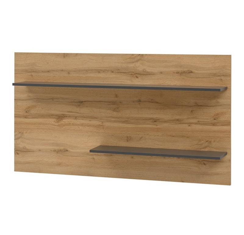 Lomadox Wandregal CRISP-61, Wotan Eiche Nb. mit Absetzungen in anthrazit 155/80/20 cm von Lomadox