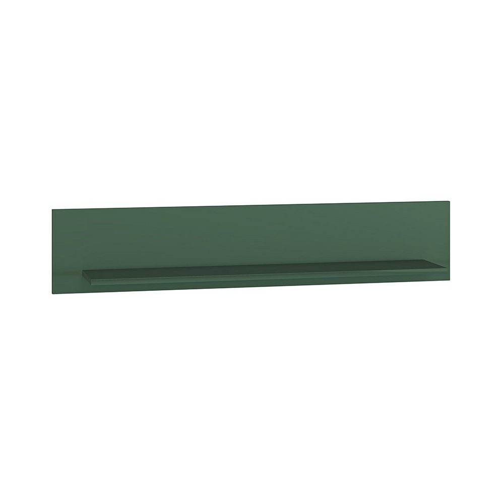 Lomadox Wandregal FASANO-131, in grün, B/H/T ca. 120/23/22 cm von Lomadox