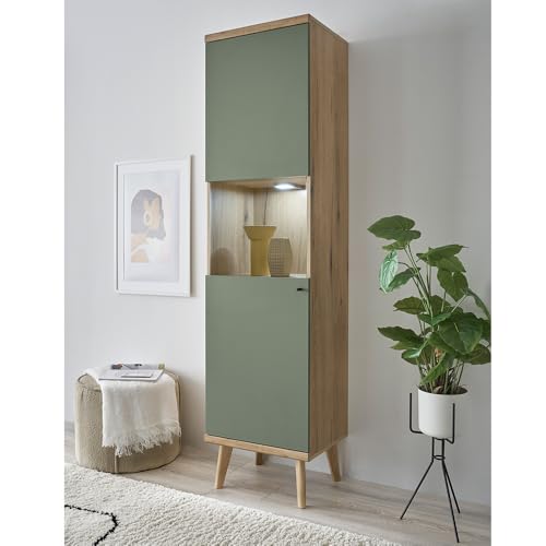 Lomadox Wohnzimmer Esszimmer Vitrine Vitrinenschrank Standvitrine in Eiche mit grün Modern von Lomadox