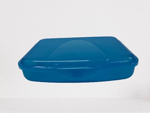 Lomatek Flache Vesperdose 0,75l mit Klickverschluss, Kunststoff BPA-frei, blauaqua von Lomatek