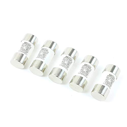 New Lon0167 5 Stück Vorgestellt 500 V 100A zuverlässige Wirksamkeit 22 x 58mm Zylindrische Keramikrohrsicherungen Link RT14 RT19 RO17(id:586 dd 56 d81) von Lon0167