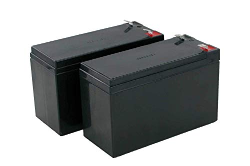 Ersatz Batterie für USV APC SU700RMI - 2 x Blei-AGM Akku 12V 7,2Ah von Long