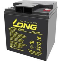 Long WP30-12TNE WP30-12TNE Bleiakku 12V 30Ah Blei-Vlies (AGM) (B x H x T) 166 x 176 x 125mm M6-Schra von Long