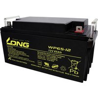 Long WP65-12 WP65-12 Bleiakku 12V 65Ah Blei-Vlies (AGM) (B x H x T) 350 x 174 x 166mm M6-Schraubansc von Long