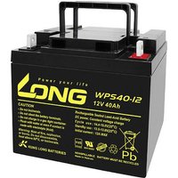 Long WPS40-12 WPS40-12 Bleiakku 12V 40Ah Blei-Vlies (AGM) (B x H x T) 199 x 171 x 166mm M6-Schrauban von Long