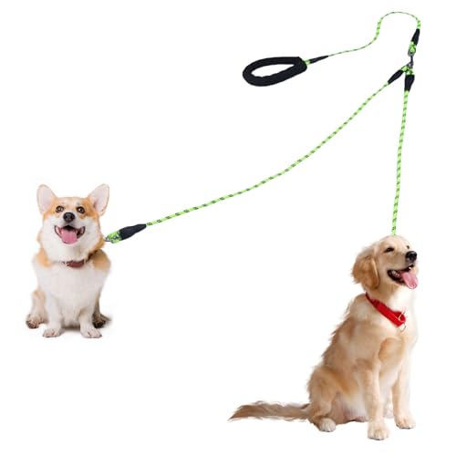 Doppelleine für 2 Hunde, 360° Drehbarer Hundeleine Kleine Hunde Leicht, Reflektierende Leine mit Gepolsterten Griffen Geeignet für Kleine Hund Unter 15KG(Grün, 8mm) von LongHoneySong