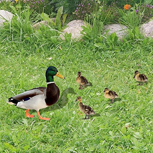 Huhn Deko Huhn Gartenstecker Gartendeko Huhn Gartenfiguren Deko Gartenstatue Hühner Deko Figuren Tiere Figuren Hühner Deko Huhn Statue Terrassen Deko Balkon Garten Deko Gartenfigur Gartendekoration von Longra