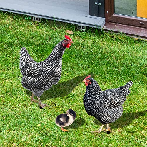 Huhn Deko Huhn Gartenstecker Gartendeko Huhn Gartenfiguren Deko Gartenstatue Hühner Deko Figuren Tiere Figuren Hühner Deko Huhn Statue Terrassen Deko Balkon Garten Deko Gartenfigur Gartendekoration von Longra