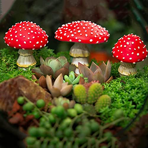 Mini Pilze Miniatur Figuren Feengartenzubehör Gartenpilze Blumentopf Pilz Dekoration Pilze Garten Töpfe für DIY Potting Deko Micro Landschaft Bonsai Gesteck Blumentöpfe Pflanzen (A 3PCS, One Size) Mini Pilze Miniatur Figuren Feengartenzubehör Gartenpilze Blumentopf Pilz Dekoration Pilze Garten Töpfe für DIY Potting Deko Micro Landschaft Bonsai Gesteck Blumentöpfe Pflanzen (A 3PCS, One Size) von Longra