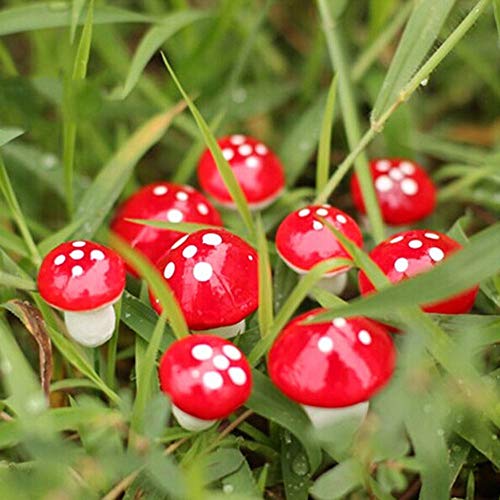 Mini Pilze Miniatur Figuren Feengartenzubehör Gartenpilze Blumentopf Pilz Dekoration Pilze Garten Töpfe für DIY Potting Deko Micro Landschaft Bonsai Gesteck Blumentöpfe Pflanzen (C 50PCS, One Size) Mini Pilze Miniatur Figuren Feengartenzubehör Gartenpilze Blumentopf Pilz Dekoration Pilze Garten Töpfe für DIY Potting Deko Micro Landschaft Bonsai Gesteck Blumentöpfe Pflanzen (C 50PCS, One Size) von Longra